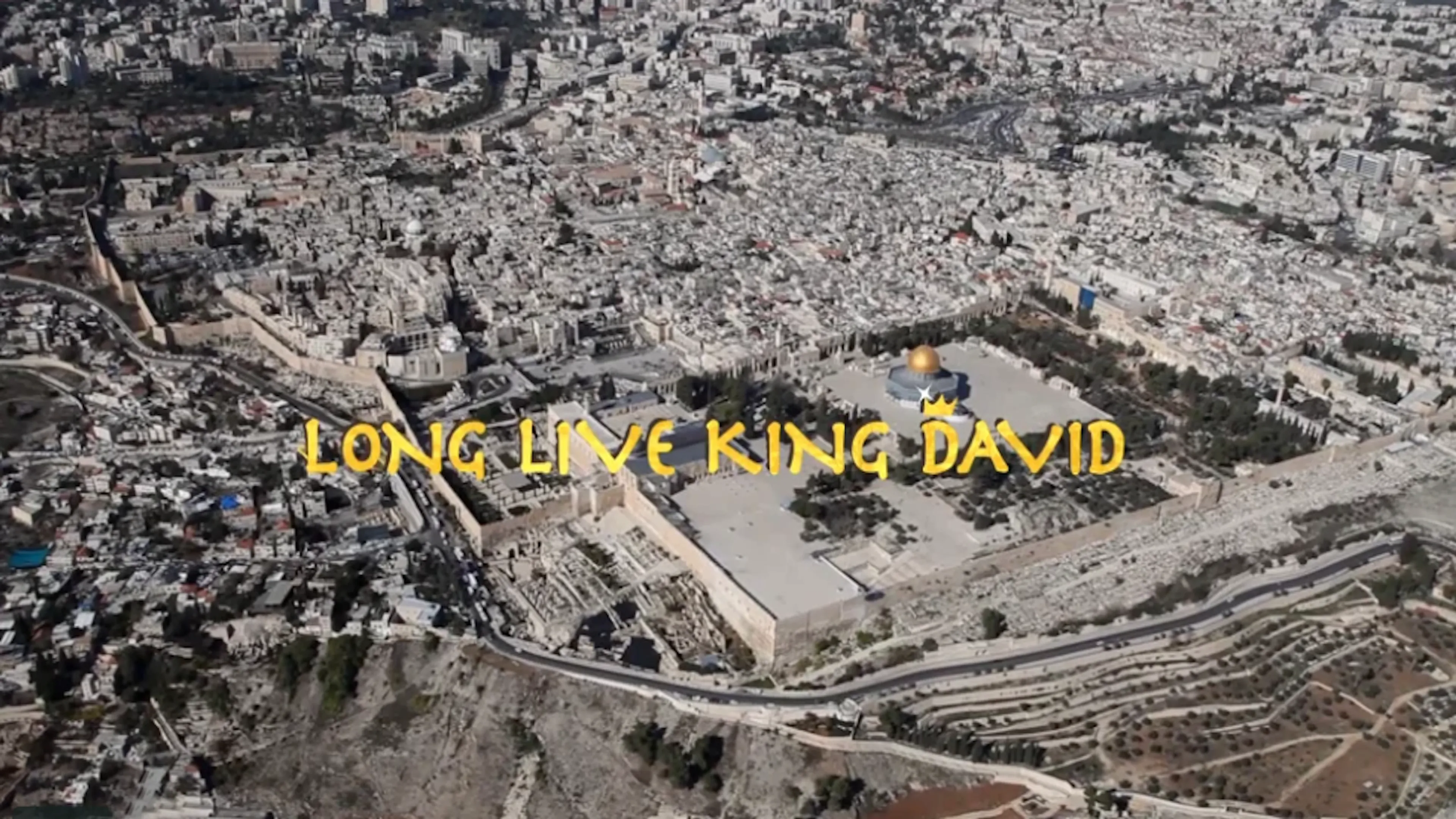 Long Live King David poster